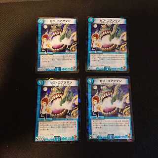 Seb Koakman C P56/Y11