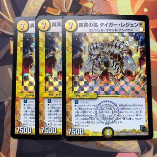 真実の名 タイガー・レジェンド