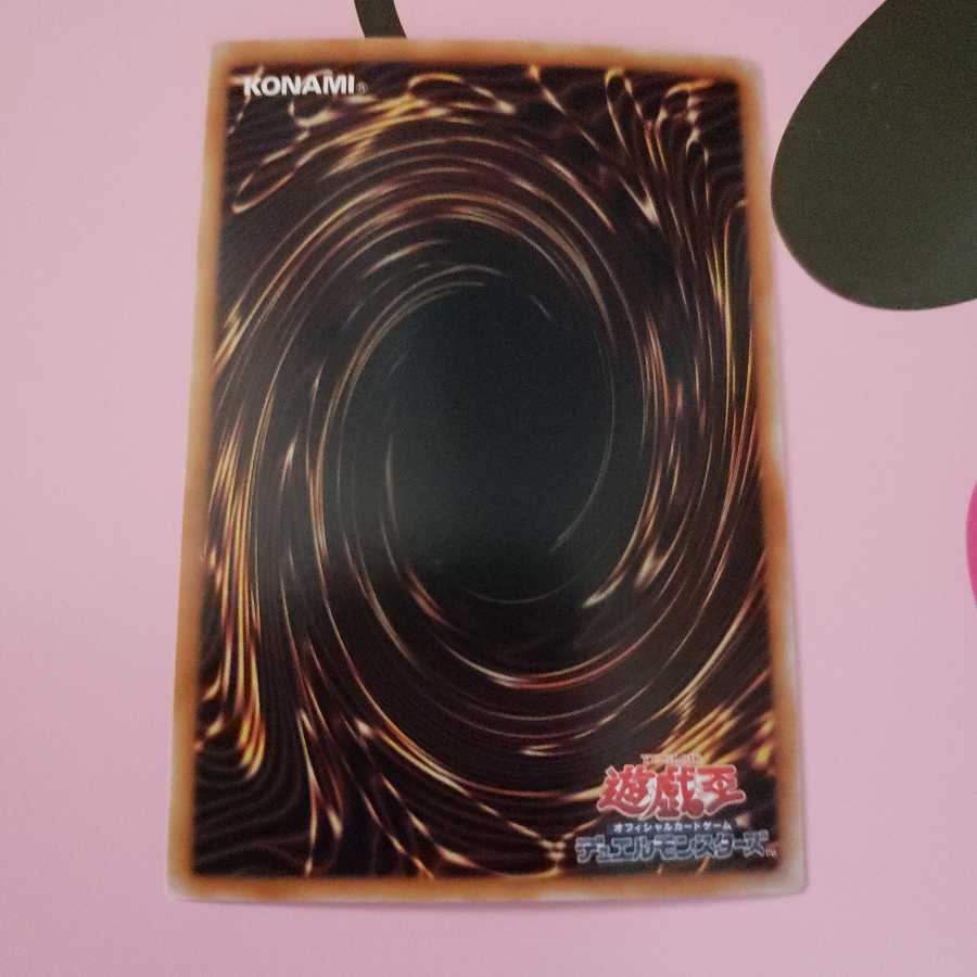 Paladin of the Cursed Dragon Super Rare