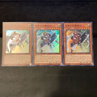 巨竜の守護騎士 SR