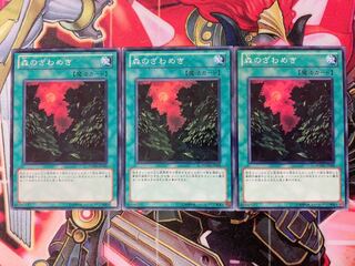 遊戯王 森のざわめき ノーマル3枚