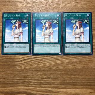 禁じられた聖杯 N