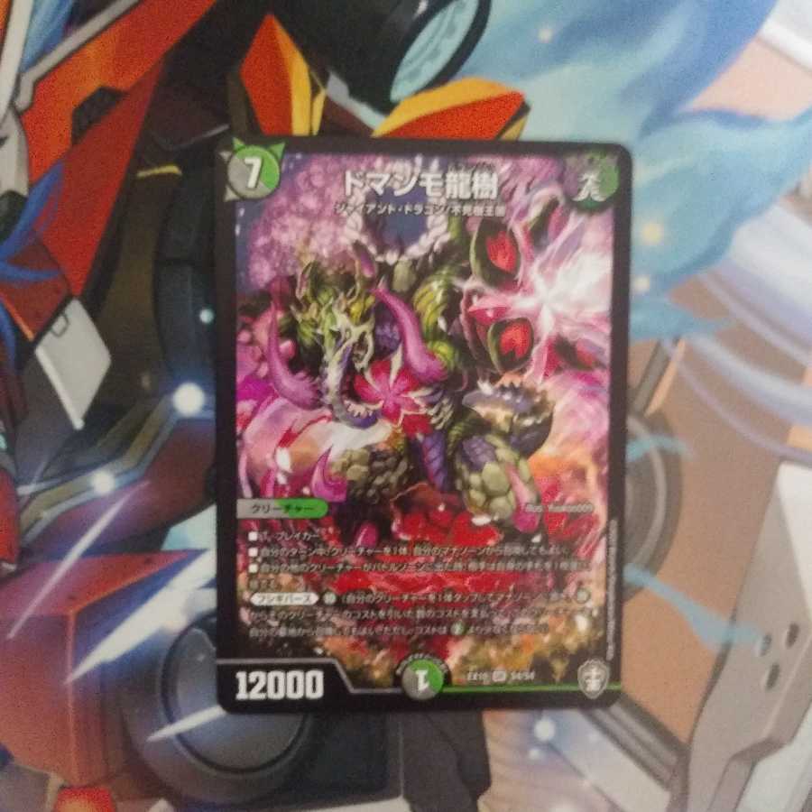 おまけ付き 美品 ドマンモ龍樹