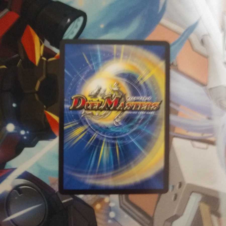 おまけ付き 美品 ドマンモ龍樹