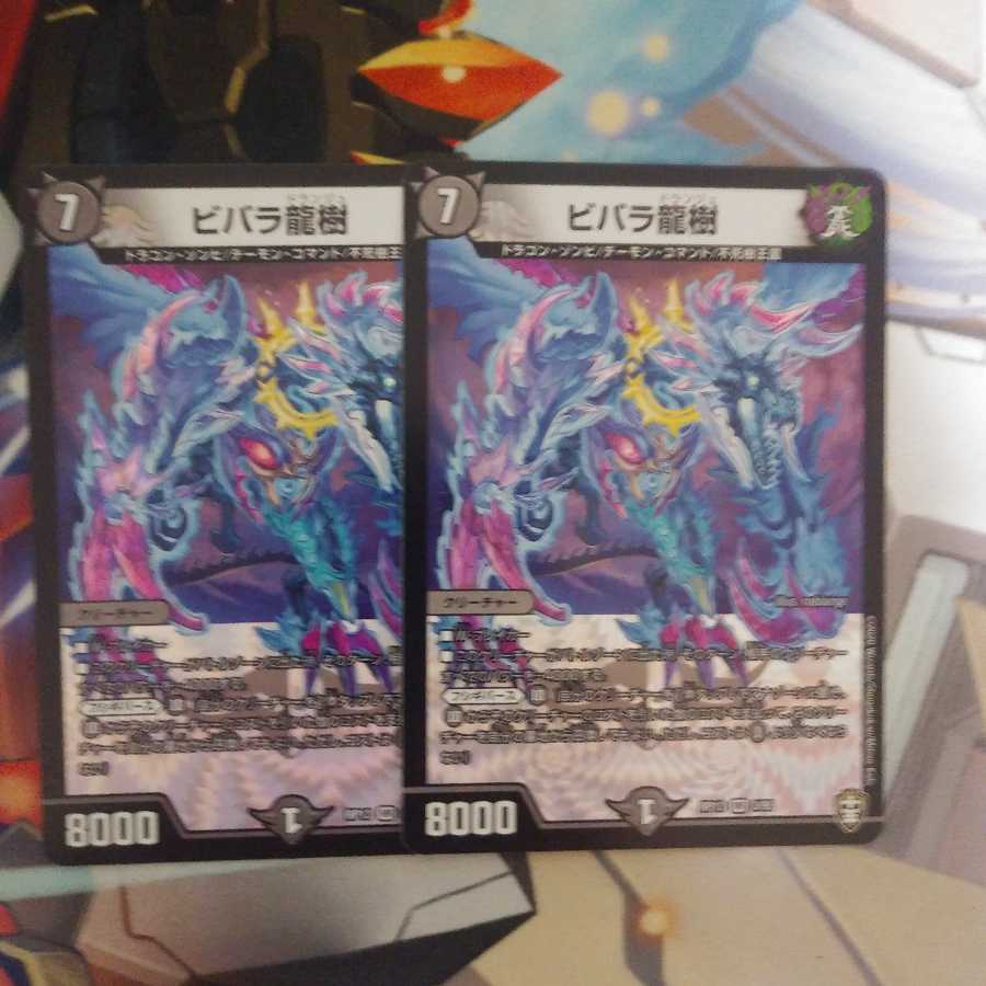 おまけ付き 美品 ドマンモ龍樹