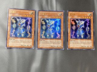 ライオウ3枚セット