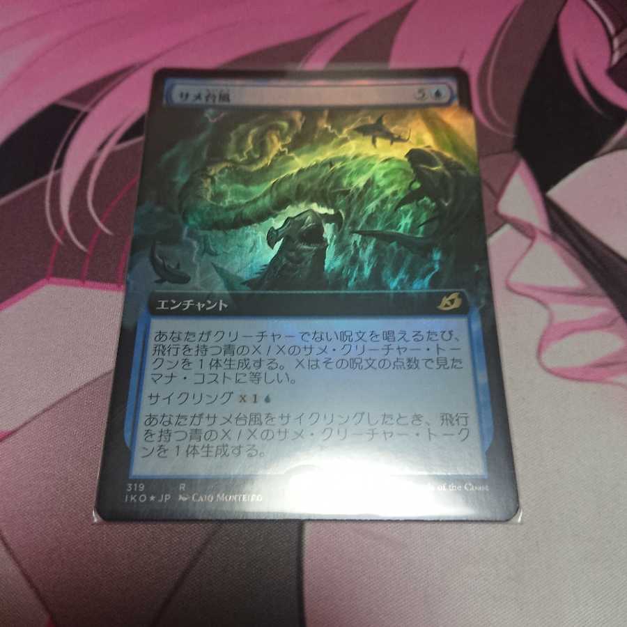 foil拡張アート サメ台風