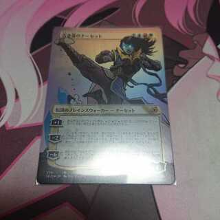 ショーケースfoil 古き道のナーセット