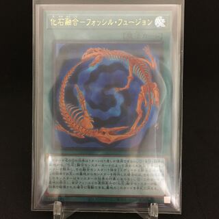 化石融合-フォッシル・フュージョン