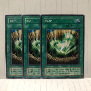 孵化　ノーマル　3枚　マホ子