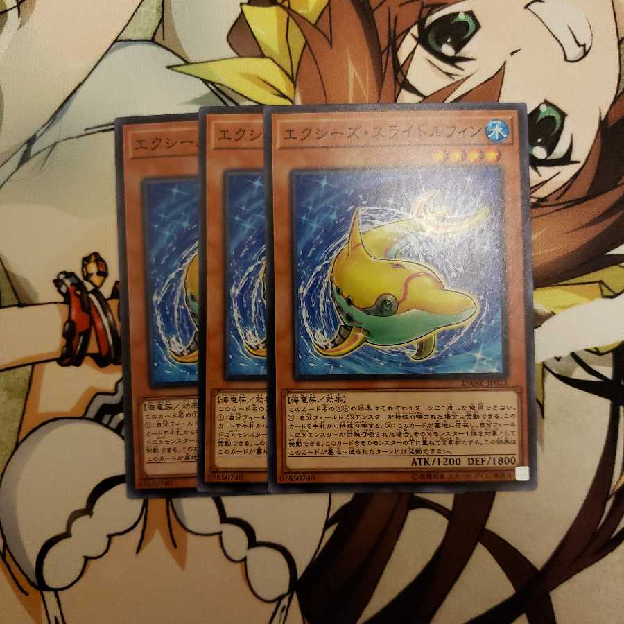 エクシーズ・スライドルフィン