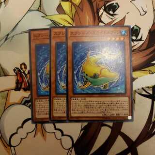 エクシーズ・スライドルフィン