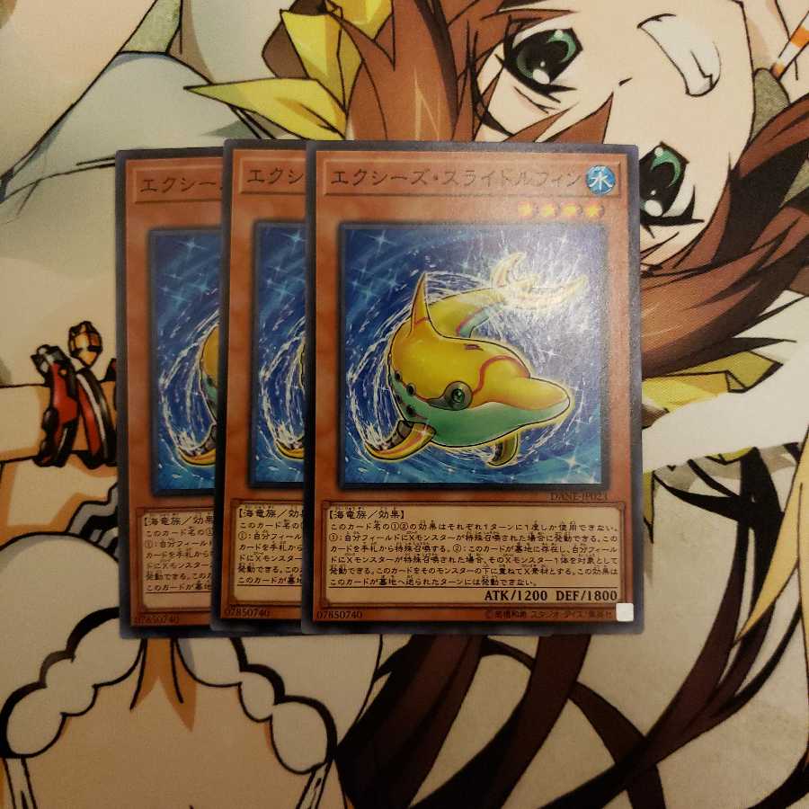 エクシーズ・スライドルフィン