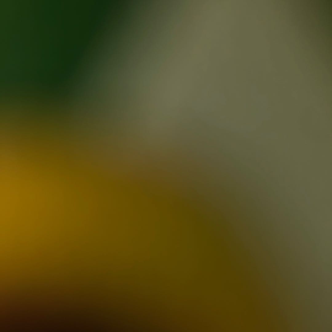 ゼロ様専用GR10枚＋おまけセット 10枚