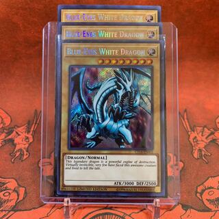 【カードケース付き】遊戯王 英語版 青眼の白龍 シク  3枚セット