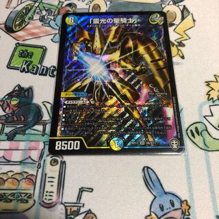 「雷光の聖騎士」