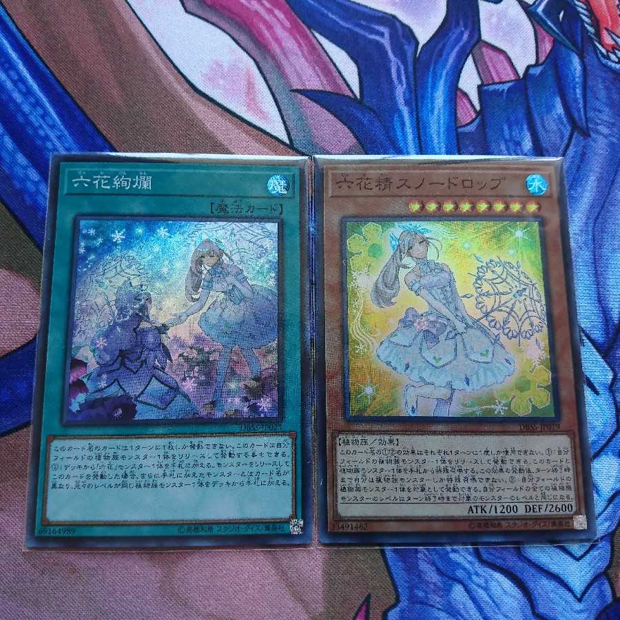 六花絢爛 SR 六花精 スノードロップ SR