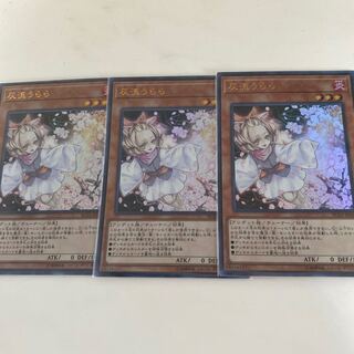 灰流うらら ウルトラ3枚セット