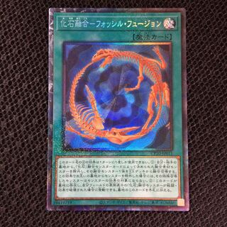 化石融合-フォッシル・フュージョン