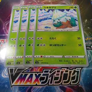 ユキカブリ 4枚