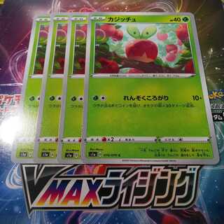 カジッチュ 4枚