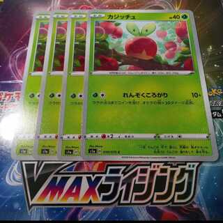 カジッチュ 4枚