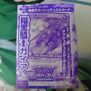 暗黒騎士ガイア