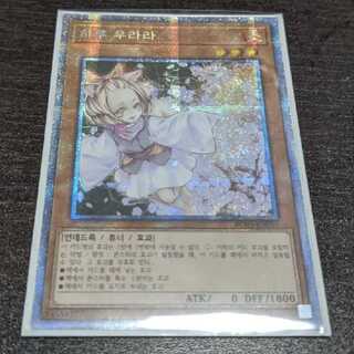 灰流うらら 韓国 プリズマティック