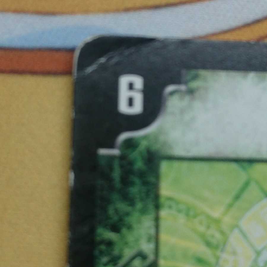 呪紋の化身（カーストーテム）