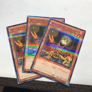 ローンファイア・ブロッサム