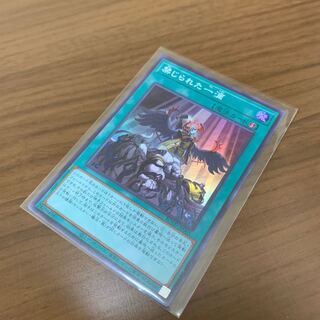 シン様専用　禁じられた一滴　SR1枚