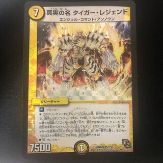 真実の名 タイガー・レジェンド