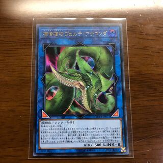 捕食植物ヴェルテ・アナコンダ UR