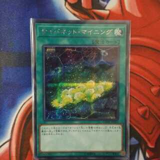 サイバネット・マイニング　シク　シークレット