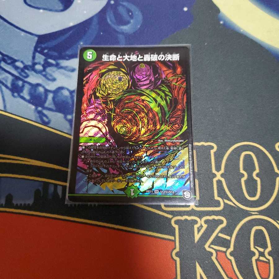 ギーン様専用 1枚