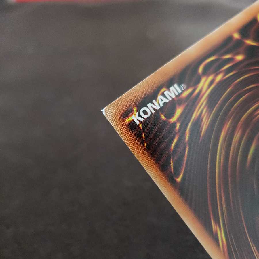 サクリファイス・アニマ SE