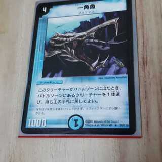 ユニコーンフィッシュ