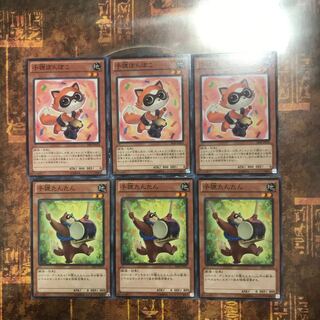 遊戯王★子狸ぽんぽこ、子狸たんたん★ノーマル各三枚★まとめ割