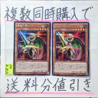 薔薇の聖騎士　シークレット×2枚　遊戯王　ローズパラディン