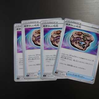 めずらしい化石 C 4枚