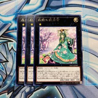 森羅の姫芽宮 R