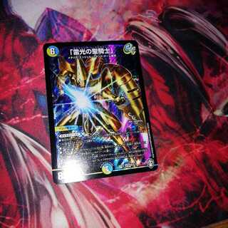 「雷光の聖騎士」