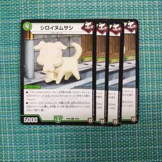 シロイヌムサシ ４枚セット