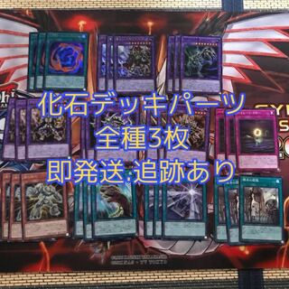 即発送 化石デッキパーツ+画像8 全種3枚ずつ ぽんこつデッキパーツ