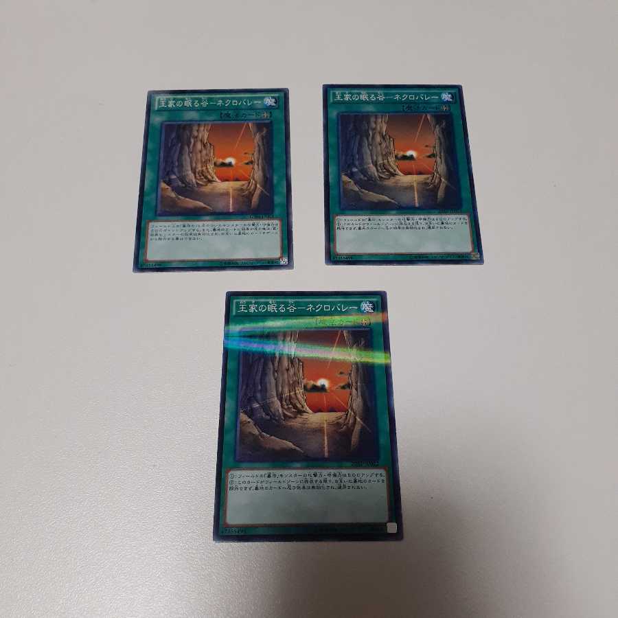 王家の眠る谷-ネクロバレー(N)