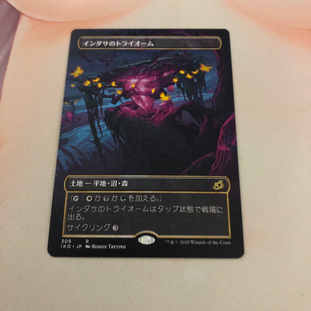 インダサのトライオーム　ショーケース