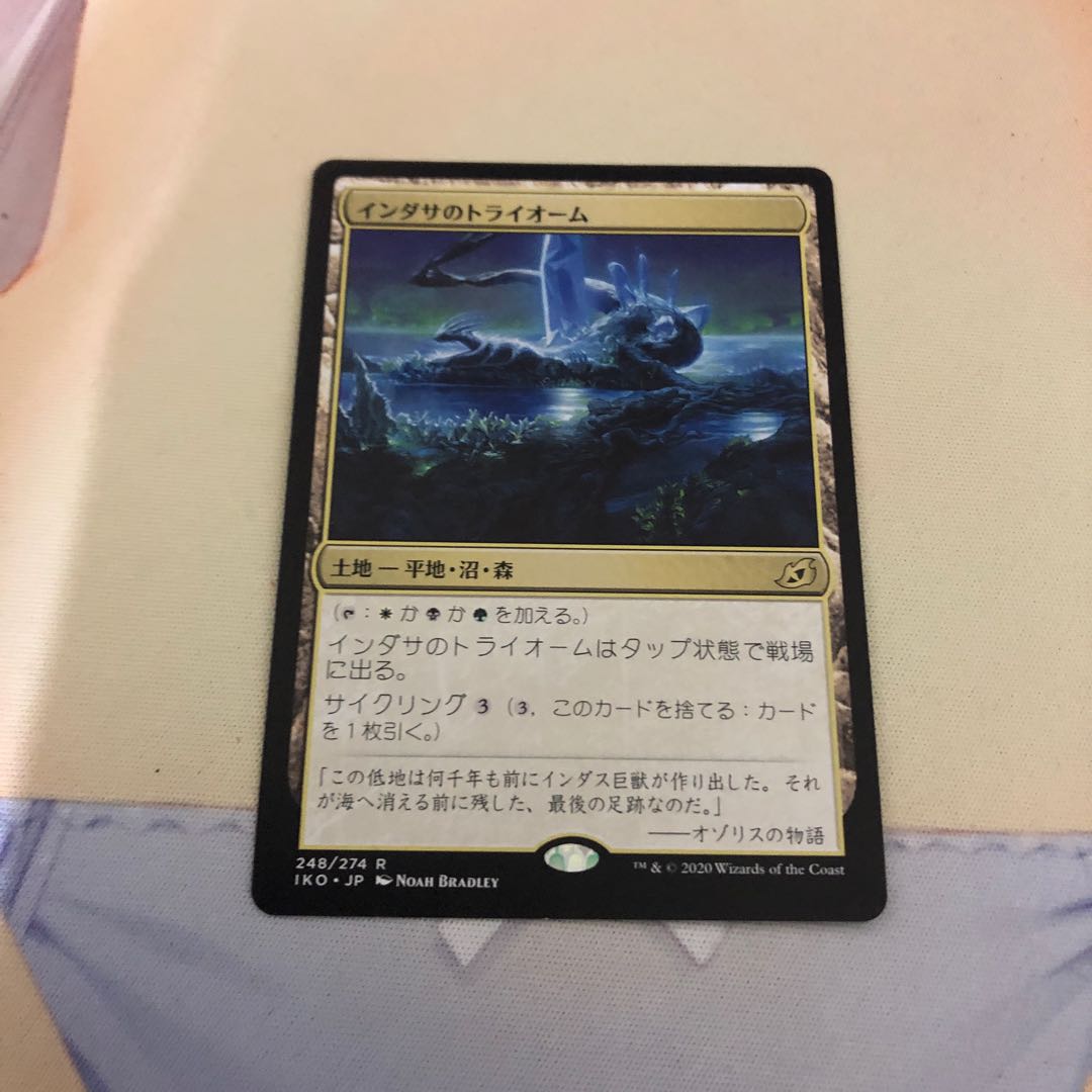 インダサのトライオーム