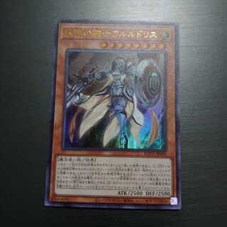 教導の騎士フルルドリス