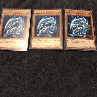 遊戯王 青眼の白龍 3枚 シークレット