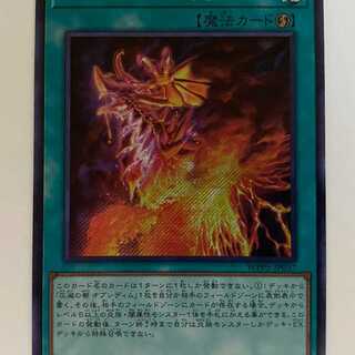 W5-37E ヴェイドスの目覚め シークレット 1枚